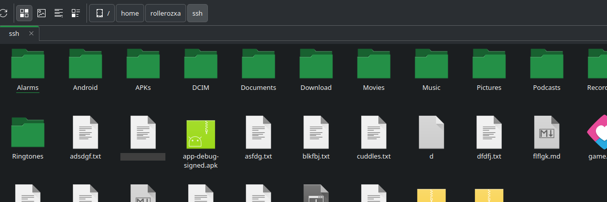 Screenshot of the root of my Android phone's external storage as mounted through SSHFS.